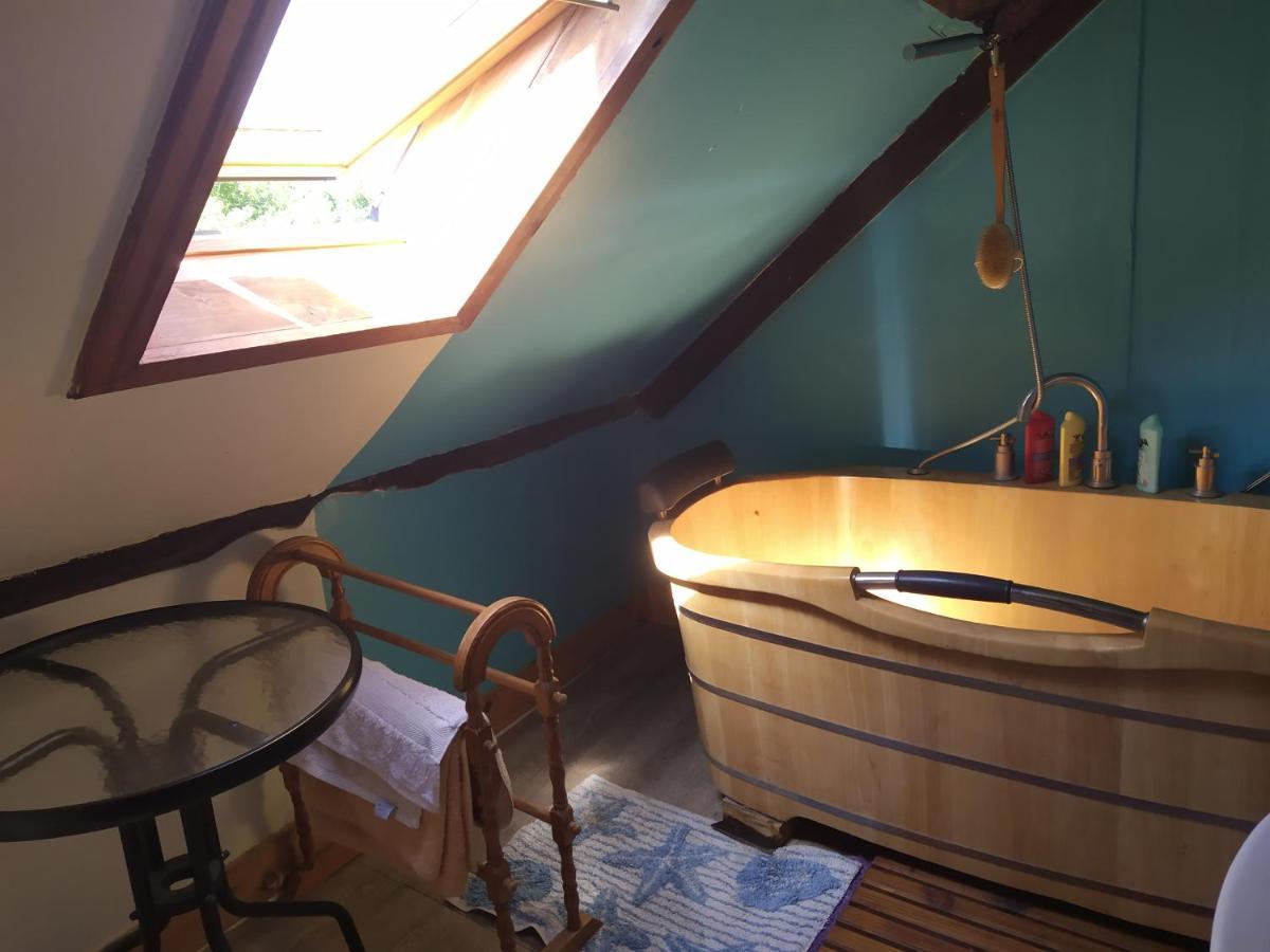 Maison En Granit Bleue Lanhelin 外观 照片